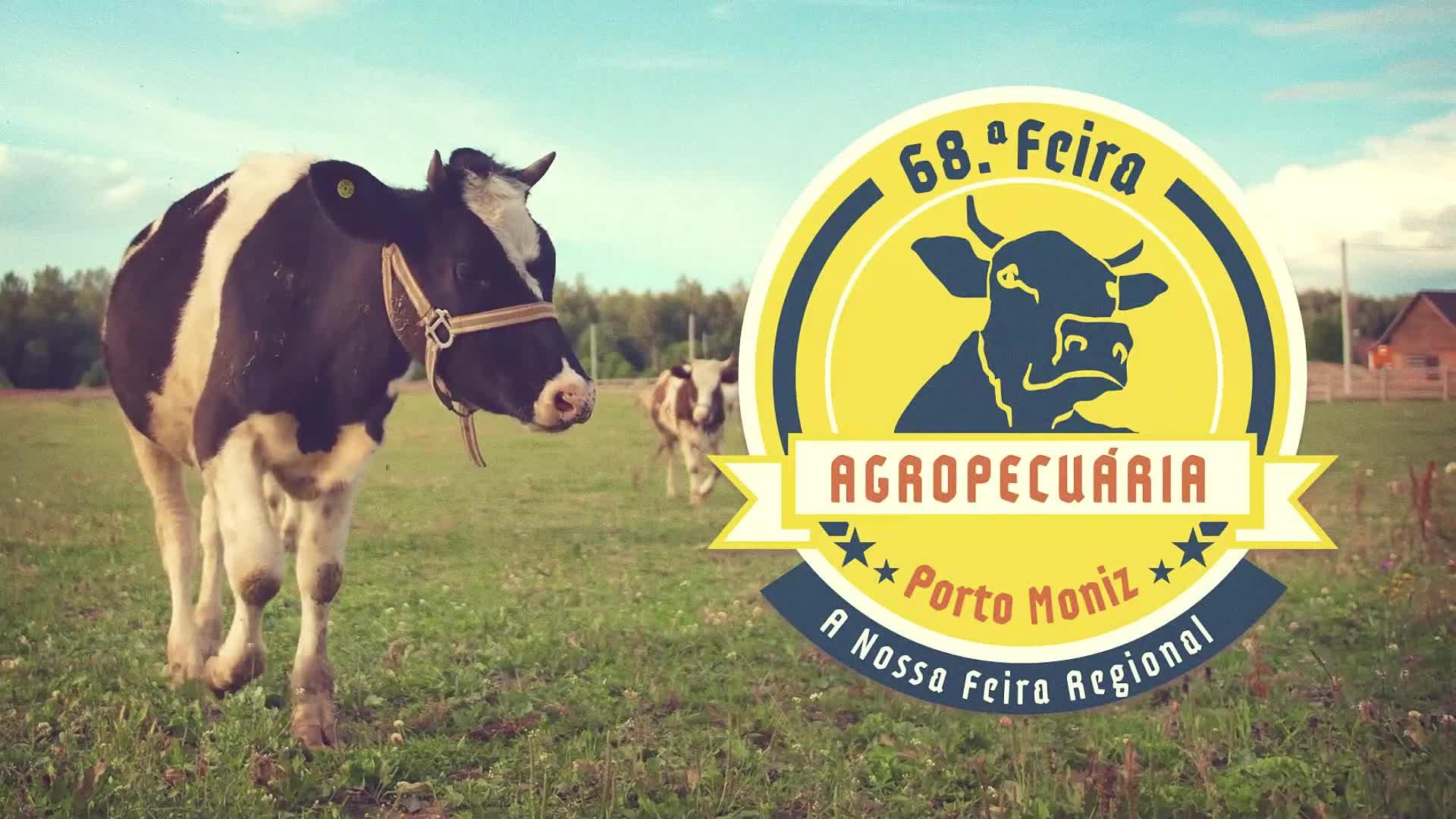 Video 2