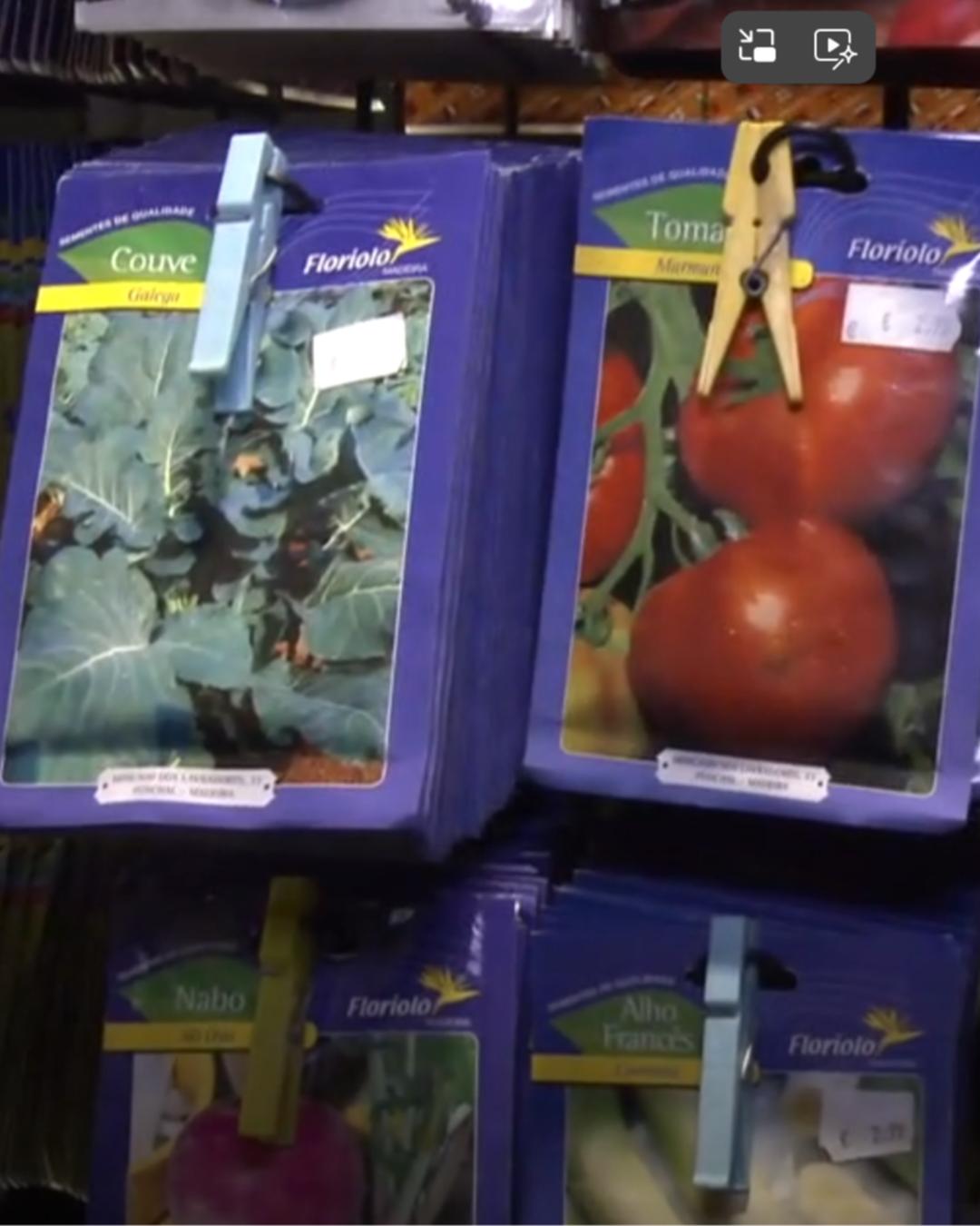 NOITE DO MERCADO | RIBEIRA BRAVA 2019 