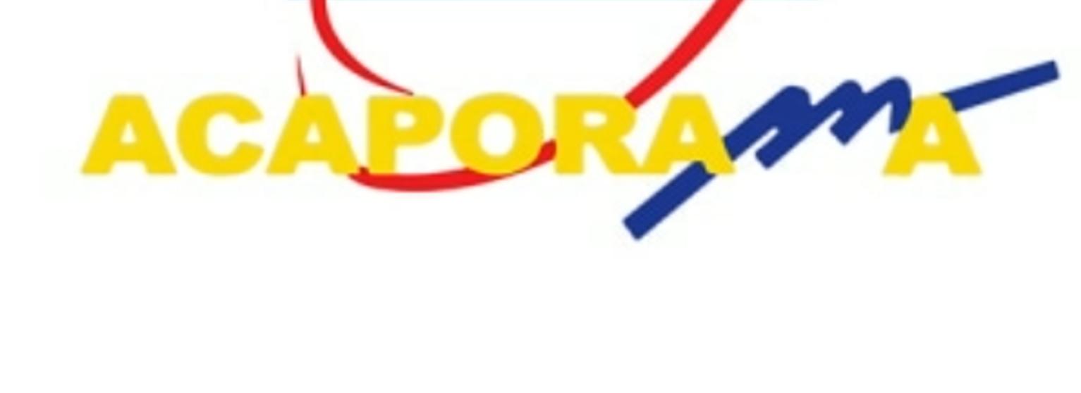 Ações de Sensibilização ANACOM / ACAPORAMA TDT 